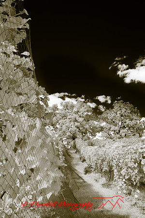 infrared-galesburg_il-2011-52