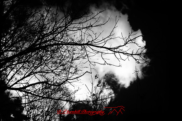 infrared-bay-city-2010-37-nik