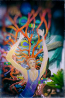 florida - pinhole - 2022 - 016-nik-ps-ai