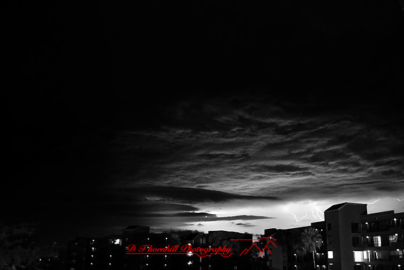 florida-2009-images-infrared_33.jpg
