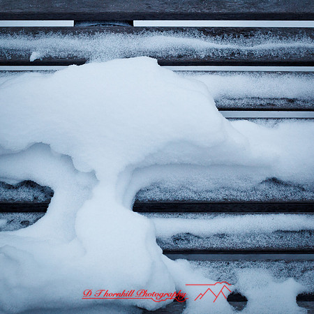 assorted_images-2012-173