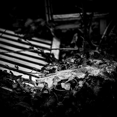 blog-2019-001