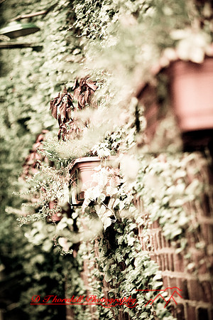assorted_images-2007-47