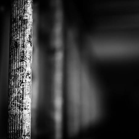 Wide Open-2017-023-nas B&W