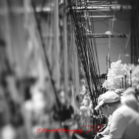 bay-city-tall-ships-2013-073