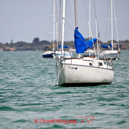 florida-2013-images072