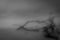 tawas-state-park-2011-06-nas