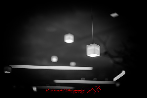 saginaw art museum outing - 2021 - 009