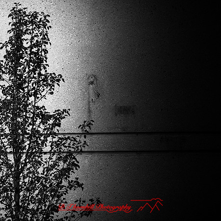 saginaw art museum outing - 2021 - 001