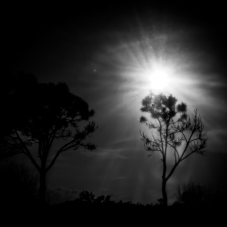 florida - pinhole - 2022 - 011