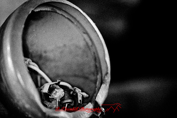 assorted_images-2011-196