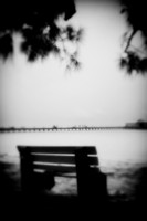 florida - pinhole - 2022 - 028-nik-ps-ai