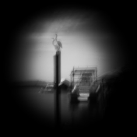 florida - pinhole - 2022 - 002