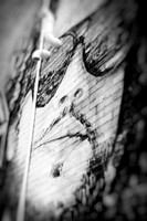 saginaw-images-2018-009-n-l-as