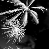 Bay City fireworks 2021 - 001_DxO