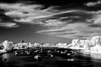 infrared-2008_018