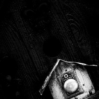 random-images-2018-049-n-l-as