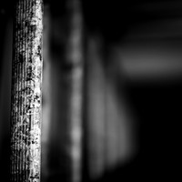 Wide Open-2017-023-nas B&W