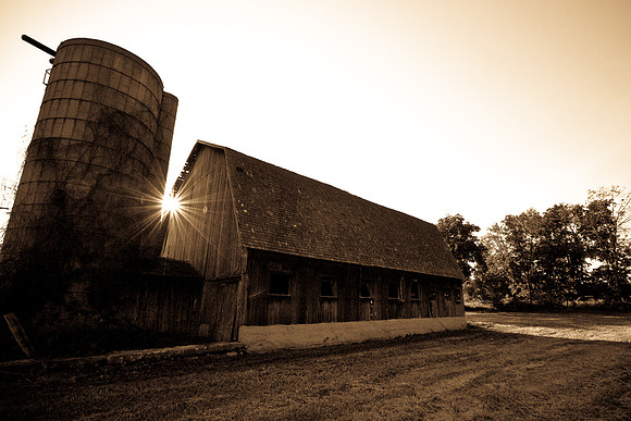 assorted_images-2007-17