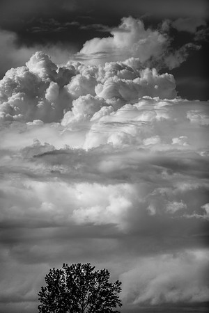 assorted-images_2017-002