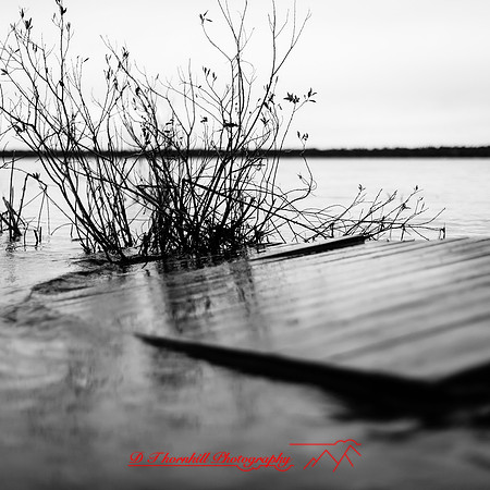 Tawas State Park-Nov-2017-016