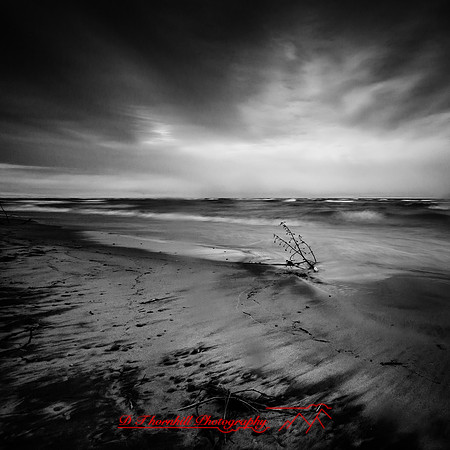 Tawas State Park-Nov-2017-019-nas