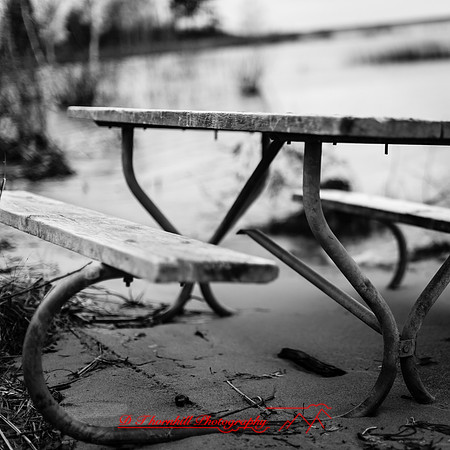 Tawas State Park-Nov-2017-015