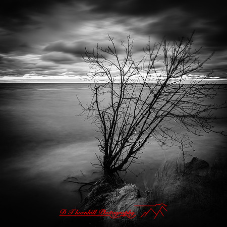 Tawas State Park-Nov-2017-001-nas