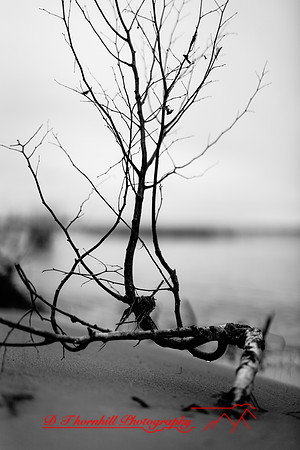 Tawas State Park-Nov-2017-014