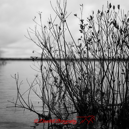 Tawas State Park-Nov-2017-004