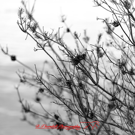 Tawas State Park-Nov-2017-010