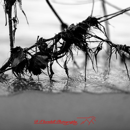 Tawas State Park-Nov-2017-008