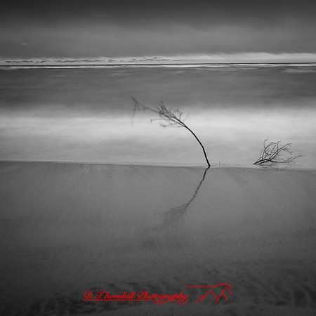 Tawas State Park-Nov-2017-018