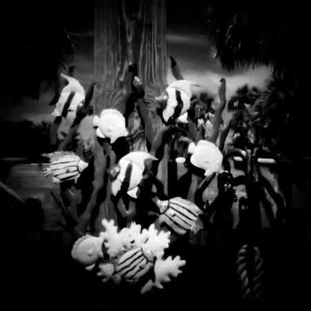 florida - pinhole - 2022 - 020-nik-ps-ai
