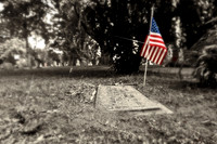 assorted_images-2011-133-nas