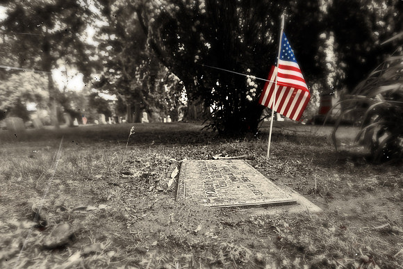 assorted_images-2011-133-nas