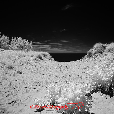 infrared-2018-sleeping-bear-dunes-016