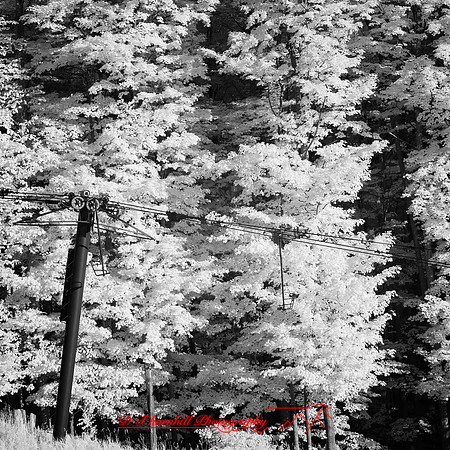 infrared-2018-sleeping-bear-dunes-002