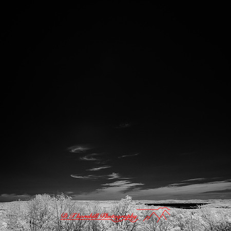 infrared-2018-sleeping-bear-dunes-015