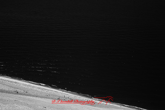 infrared-2018-sleeping-bear-dunes-014