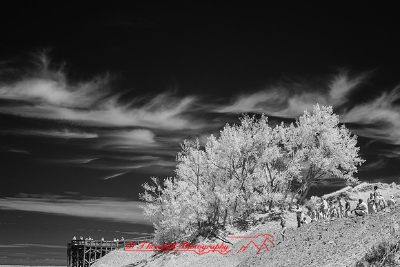 infrared-2018-sleeping-bear-dunes-012