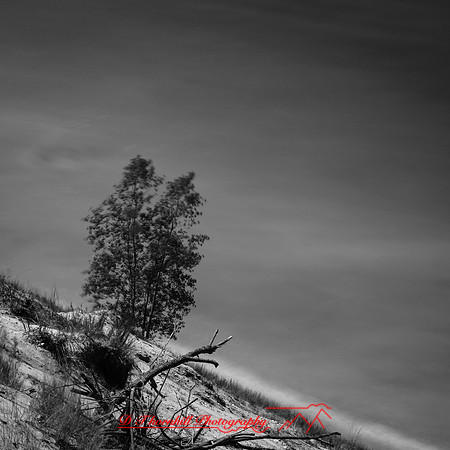 random-2018-sleeping-bear-dunes-003