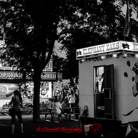 bay country fair 2017-005