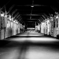 bay country fair 2017-004