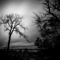 2019 Tawas State Park