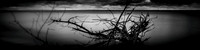 Tawas State Park 2019 long exposure 001-n-l-as