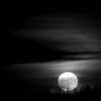 Moon shots-2018-003-n-l-as