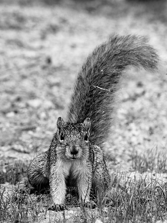 bay city-2018-random-015_DxO