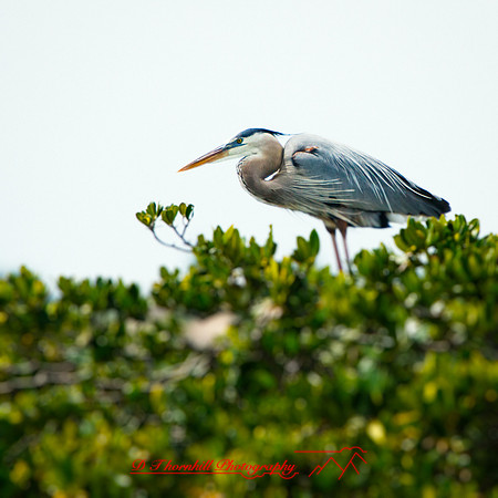 florida-2013-images-095-nas