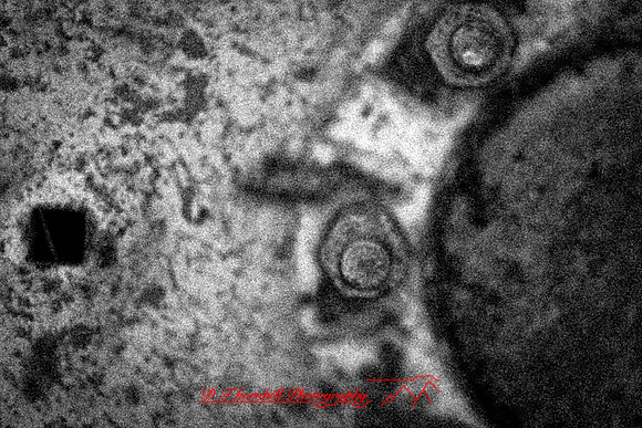 assorted_images-2011-198